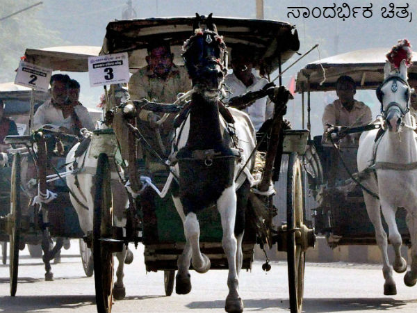 ಬದುಕಿನ ಟಾಂಗಾ ನಡೆಯೋಕೆ ಬೇಕು ನಮ್ಮ ಸಹಕಾರ ಬದುಕಿನ ಟಾಂಗಾ ನಡೆಯೋಕೆ ಬೇಕು ನಮ್ಮ ಸಹಕಾರ