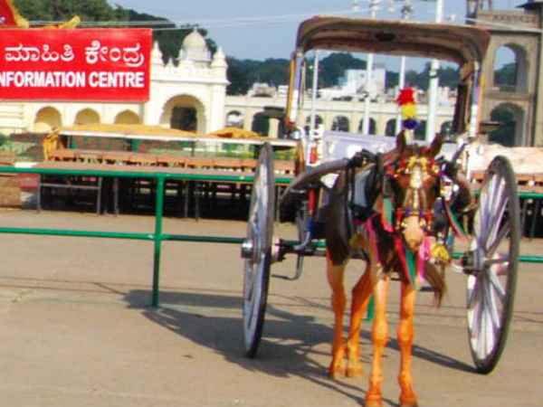 ಬೀದಿಗೆ ಬಿದ್ದಿದೆ ಟಾಂಗಾವಾಲಾಗಳ ಜೀವನ ಬೀದಿಗೆ ಬಿದ್ದಿದೆ ಟಾಂಗಾವಾಲಾಗಳ ಜೀವನ