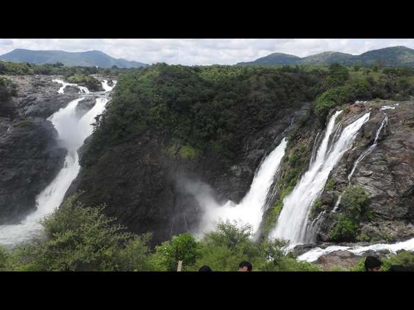 ಸೊಬಗಷ್ಟೇ ಅಲ್ಲ, ಅಪಾಯಕಾರಿಯೂ ಹೌದು! ಸೊಬಗಷ್ಟೇ ಅಲ್ಲ, ಅಪಾಯಕಾರಿಯೂ ಹೌದು!