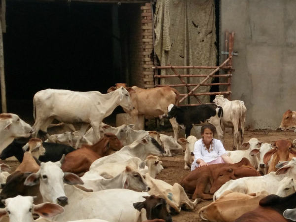 ಭಾರತದ ರಾಷ್ಟ್ರೀಯತೆ ಇಲ್ಲ ಭಾರತದ ರಾಷ್ಟ್ರೀಯತೆ ಇಲ್ಲ