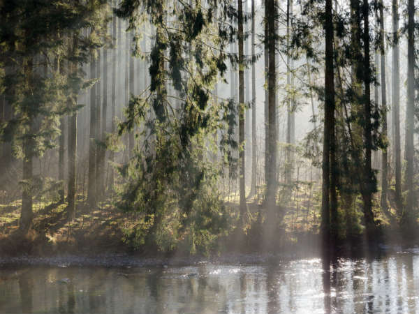 ನಮ್ಮ ವಾದ್ಯಗಾರರನ್ನು ಸಂಭ್ರಮಿಸುವುದು ಯಾವತ್ತು?