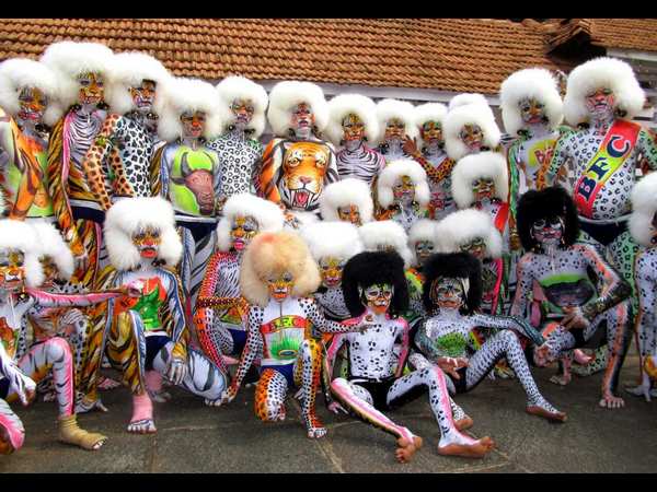  ಆಕರ್ಷಕ ಬಣ್ಣಗಳಲ್ಲಿ ಕಂಗೊಳಿಸುವ ಹುಲಿಗಳು