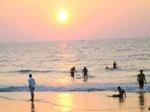ಸಂತಾನೋತ್ಪತಿಗಾಗಿ ಕಡಲ ತಡಿಗೆ