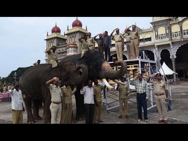 6ನೇ ದಸರಾಗೆ ಬಂದ ಕಾವೇರಿ