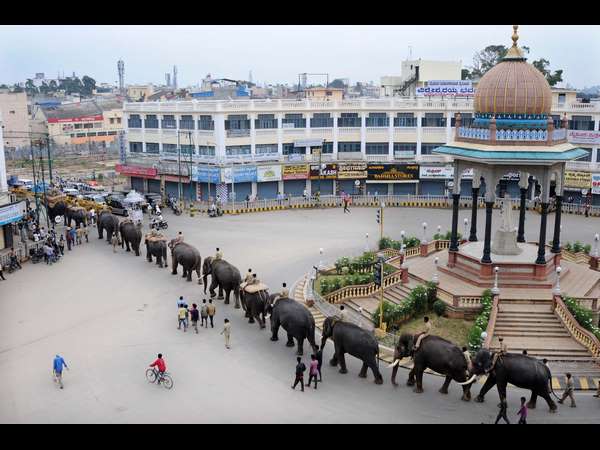 12ನೇ ದಸರಾದಲ್ಲಿ ವಿಕ್ರಮನ ಹೆಜ್ಜೆ