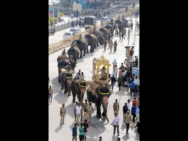 14ನೇ ದಸರಾದಲ್ಲಿ ಬಲಶಾಲಿ ಹರ್ಷ