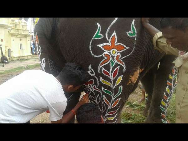 ಗಜದ ಮೈತುಂಬ ಬಣ್ಣದ ಚಿತ್ತಾರ