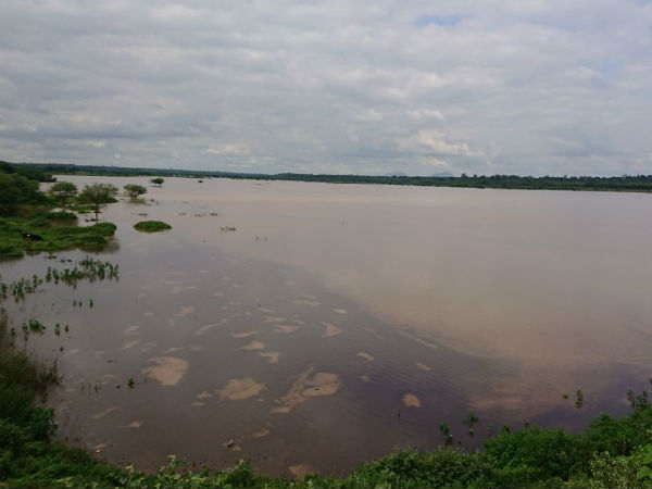 Rain raises water level in Hesaraghatta lake