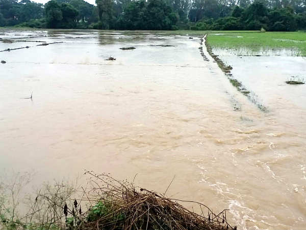 Canal breaks up as huge water flow in KR Nagar 