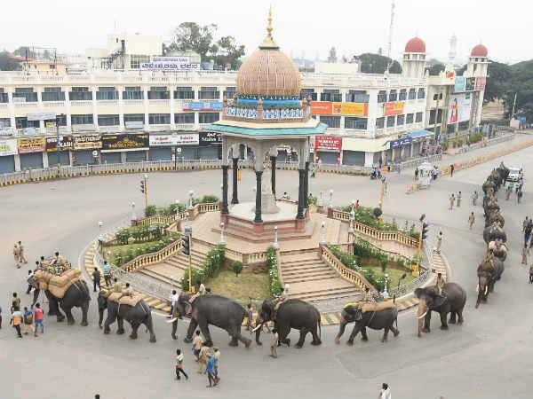 rehearsal starts to Mysuru Dasara Jambusavari elephant Aarjuna