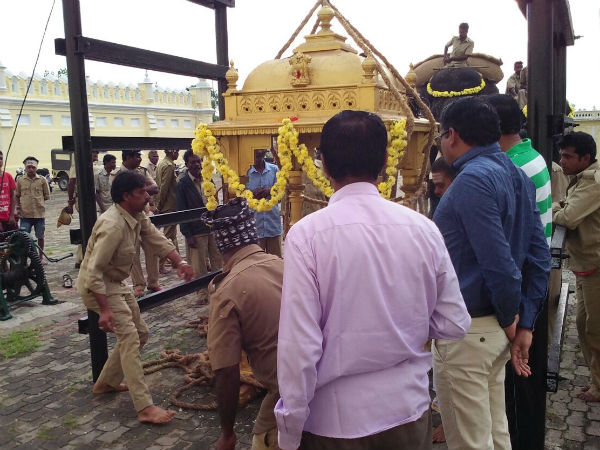 Mysuru Dasara: rehearsals for Jamboo Savari elephants Mysuru Dasara: rehearsals for Jamboo Savari elephants