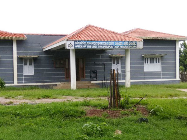 Project Tiger Scheme Director office may shift to Gundlupet from Bandipur-reports Project Tiger Scheme Director office may shift to Gundlupet from Bandipur-reports