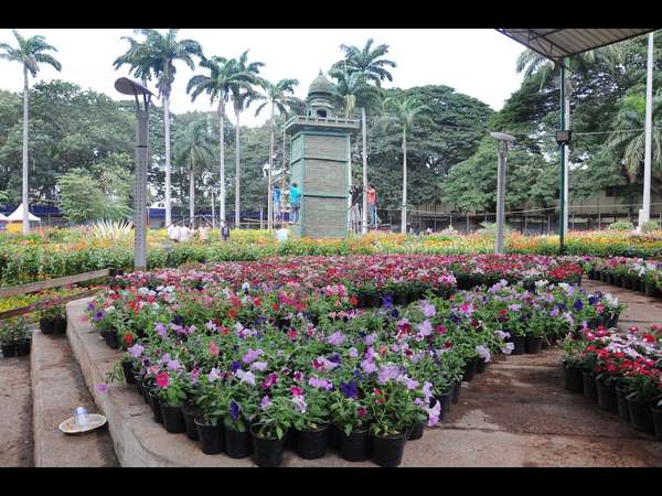 Mysuru Dasara Flower show from 21st Sepin Kuppalli park