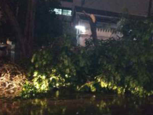 Heavy rain in Bengaluru on September 8 claims 4 lives