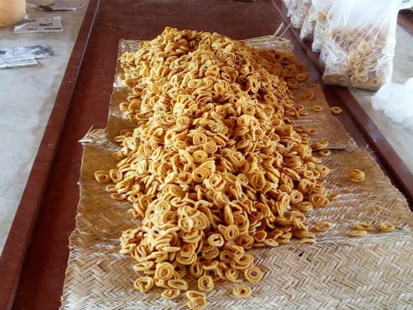 The temple town Udupi gets ready for Krishna Janmashtami grand celebration