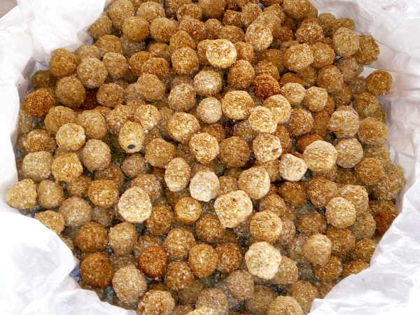 The temple town Udupi gets ready for Krishna Janmashtami grand celebration