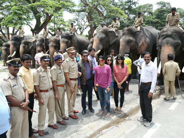 Rehearsal for Jamboo Savari elephants in Mysuru palace