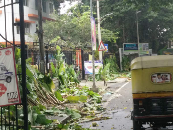ರಸ್ತೆಬದಿ ಕೊಳೆಯಲಾರಂಭಿಸಿದ ಕುಂಬಳಕಾಯಿ 