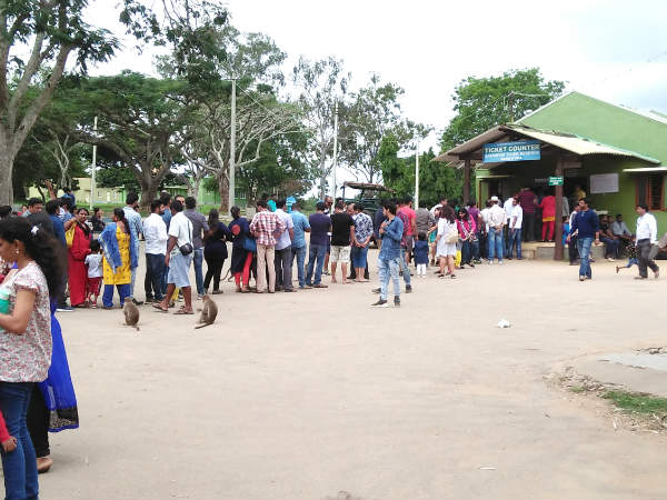 Serious of holiday, large number of tourists in Bandipur and Himavad Gopalaswamy Hill Serious of holiday, large number of tourists in Bandipur and Himavad Gopalaswamy Hill
