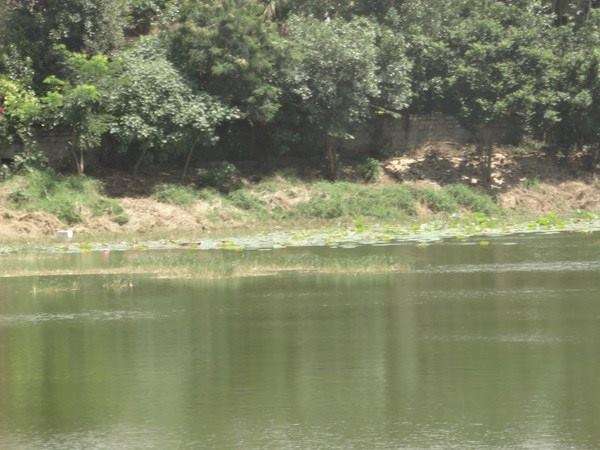 ನೀರಿನ ಜಾಗ ಯಾರದು?