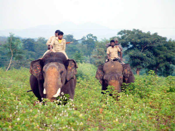 ಭರ್ಜರಿ ಕಾರ್ಯಾಚರಣೆ