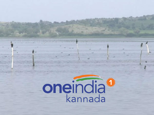 ಮೂಲ ಸೌಕರ್ಯಗಳಿಂದ ವಂಚಿತ