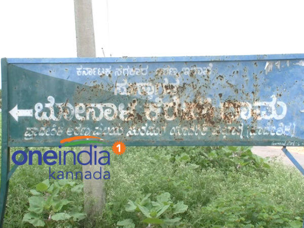 ಪಕ್ಷಿಗಳು ವಿಶ್ರಾಂತಿ ಪಡೆಯಲು ಸಾಲಲ್ಲ