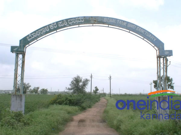 ಚಳಿಗಾಲದಲ್ಲಿ ವಲಸೆ ಬರುತ್ತವೆ