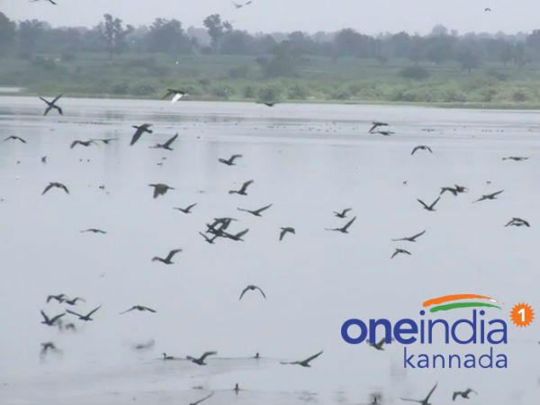 ನಿಜಾಮರ ಕಾಲದಲ್ಲಿ ಅಭಿವೃದ್ಧಿ