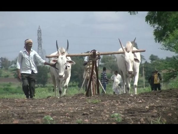 ಸಾಹಸ ನೋಡೋಕೆ ನೆರೆದಿದ್ದ ಜನ ಸಾಹಸ ನೋಡೋಕೆ ನೆರೆದಿದ್ದ ಜನ