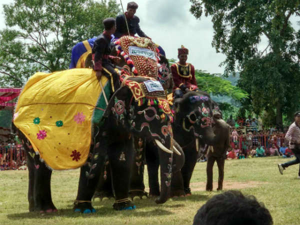 ಬೌಂಡರಿ ಬಾರಿಸಿದ ಸೂರ್ಯ