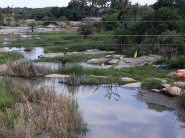 ಪ್ರಮುಖ ನದಿಗಳಲ್ಲಿ ಹರಿಯುತ್ತಿದೆ ಜೀವಜಲ