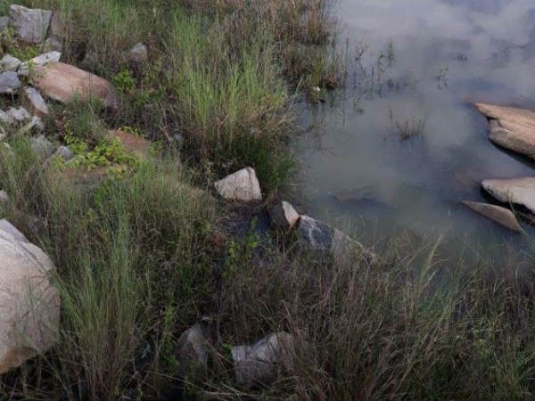 ವೀರವೈಷ್ಣವಿ ನದಿಯಲ್ಲಿ ನೀರು