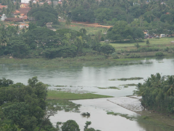 ರೈತರಿಗೆ ಸಂತಸ ತಂದ ಮಳೆ