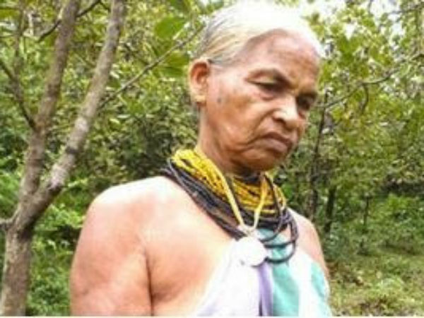 ಮರಗಳ ವಿಜ್ಞಾನಿ