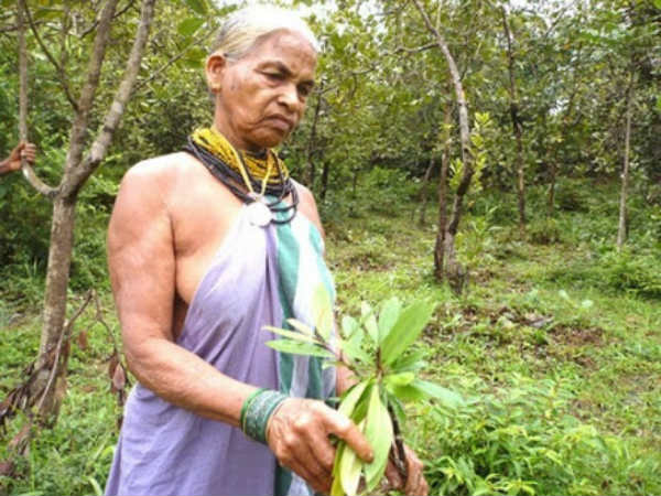 ವರ್ಷಕ್ಕೆ 30 ಸಾವಿರ ಗಿಡಗಳ ನಾಟಿ