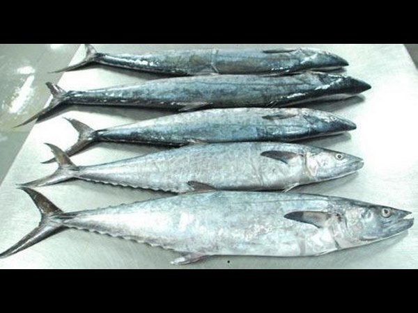 ಭಾರತದ ವಿರುದ್ಧ ಚೀನಾ ಪ್ರತೀಕಾರದ ಕ್ರಮ?