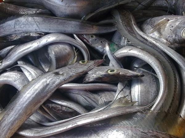 ಶೇ. 50ರಷ್ಟು ರಫ್ತು ಇಳಿಕೆ