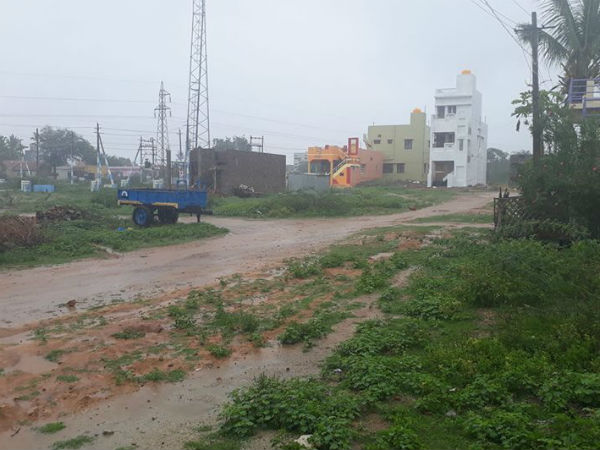  Farmers happy due to rain in Chitradurga district