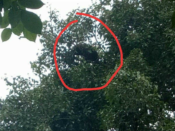 ಪ್ರವಾಸಿಗರಿಗೆ ಆತಂಕ