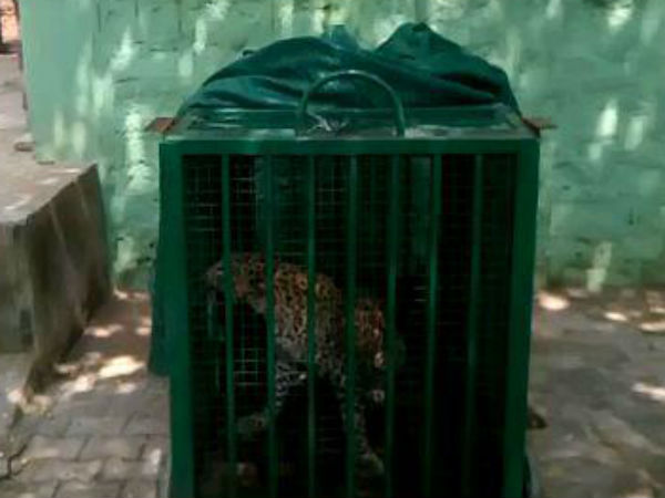 ಅರವಳಿಕೆ ಚುಚ್ಚುಮದ್ದು