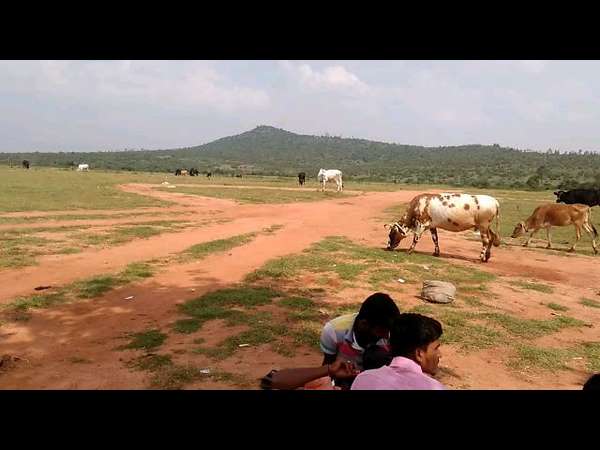 ಮರೀಚಿಕೆಯಾಯ್ತೇ ಉದ್ಯೋಗದ ಕನಸು?