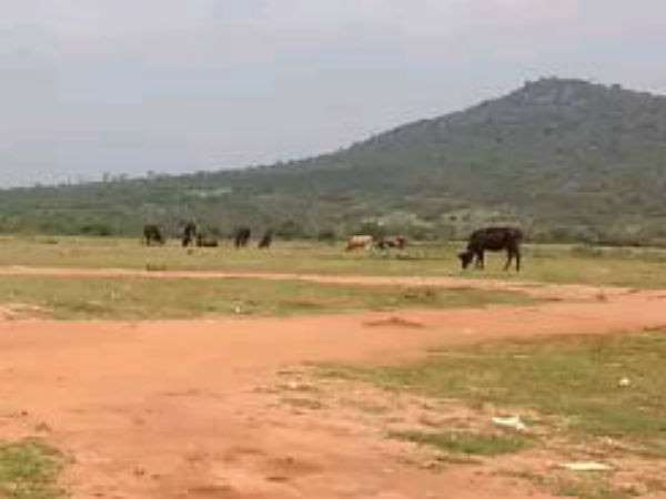 ಸಾರ್ವಜನಿಕರಿಂದ ಸರಕಾರಕ್ಕೆ ಹಿಡಿ ಶಾಪ