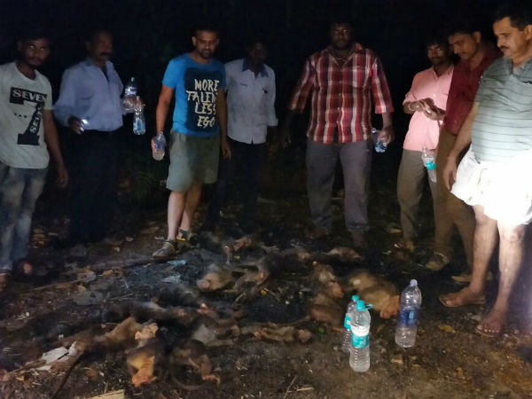 ಫಲಿಸದ ಸಾರ್ವಜನಿಕರ ಯತ್ನ