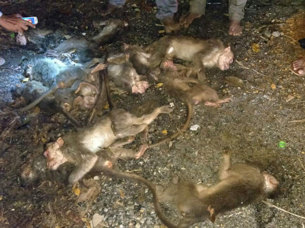 ಹಿಂದೆಯೂ ನಡೆದಿತ್ತು ಘಟನೆ