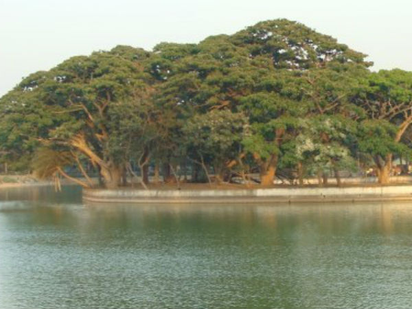 ಬೆಂಗಳೂರ ಕೆರೆಗಳು ಸೊಳ್ಳೆಗಳ ಬೀಡಾಗುತ್ತಿವೆ