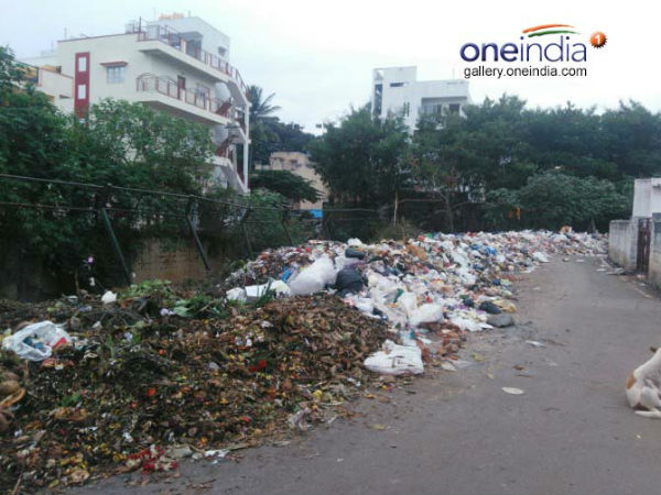 ಕಸ ಗುಡ್ಡೆಯೇರಿ ಸೊಳ್ಳೆಗಳ ಕಾಟ