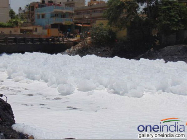 ಮಕ್ಕಳು ಮತ್ತು ವೃದ್ಧರ ಬಗ್ಗೆ ಹೆಚ್ಚಿನ ನಿಗಾ