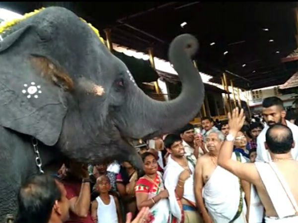 KL Rahul visits Kukke Subramanya temple 