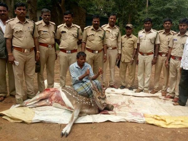 Haveri: Forest officials arrests deer hunter in Hanagal Haveri: Forest officials arrests deer hunter in Hanagal